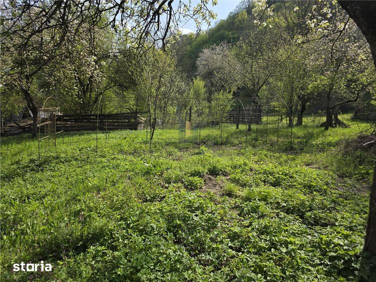 Casă cu 3 camere cu Teren 3748 Mp în Nădrag