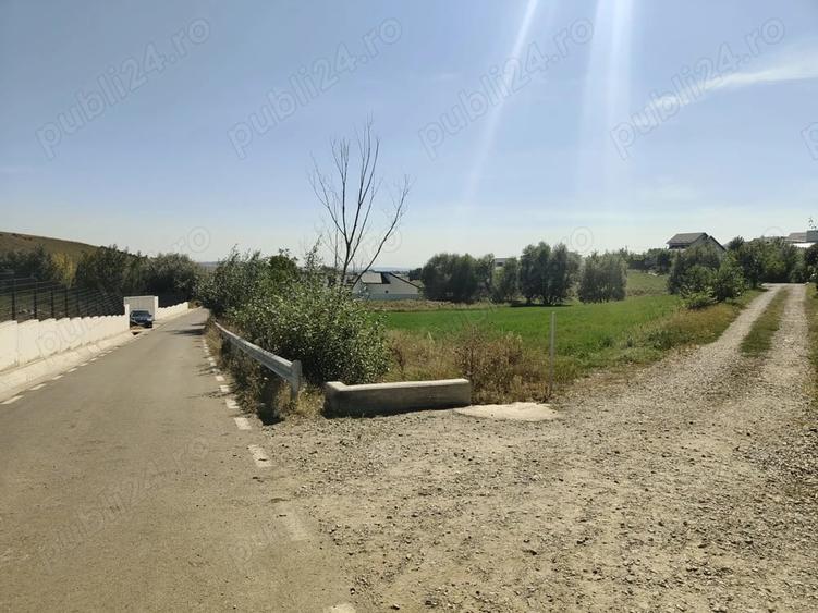 Teren de 3500 mp, în Moara
