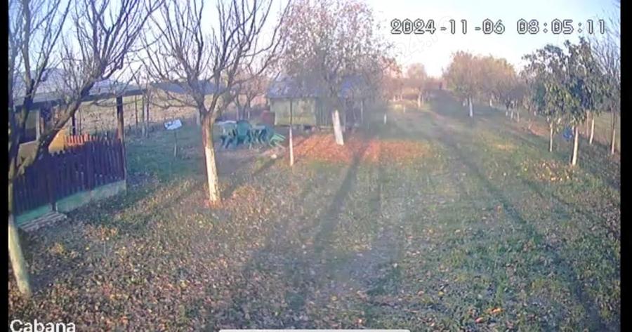 Teren de 10000 mp, în Pișchia