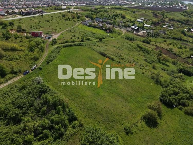 Teren Construcții intravilan de 8000 mp, în Ciurbești