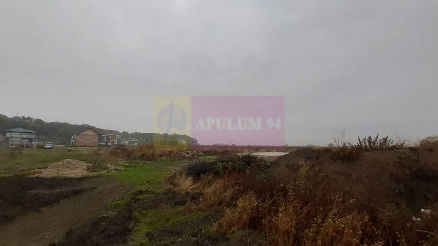 Teren agricol extravilan de 5000 mp, în Corbeanca