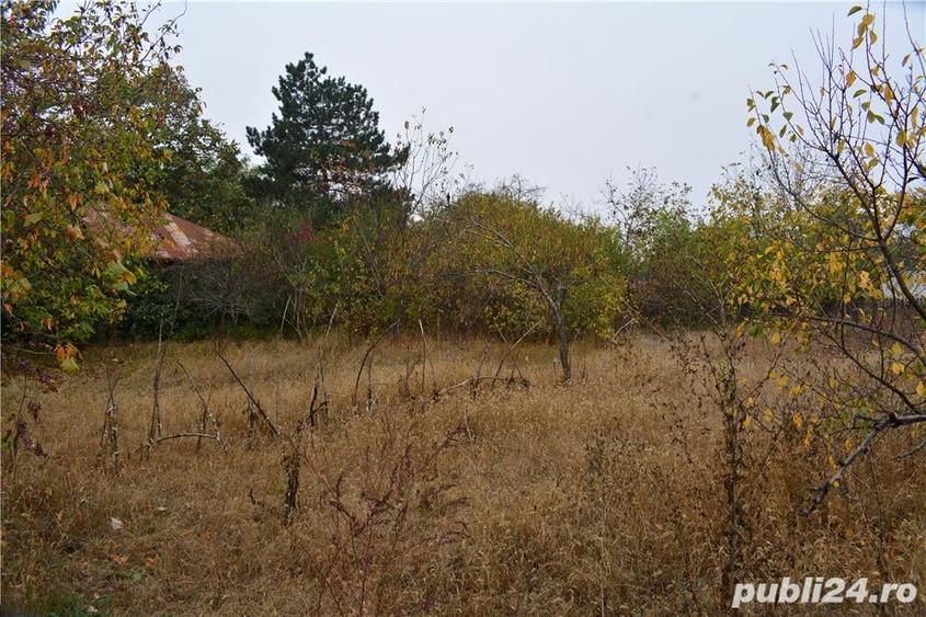 Teren de 7000 mp, în Ulmeni