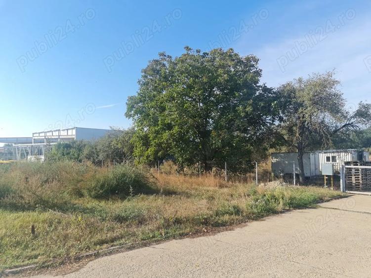 Teren de 3229 mp, în Bucovăț (Remetea Mare)