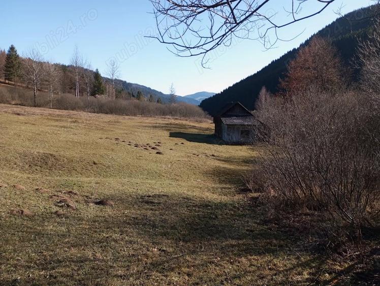Teren de 17707 mp, în Grințieș