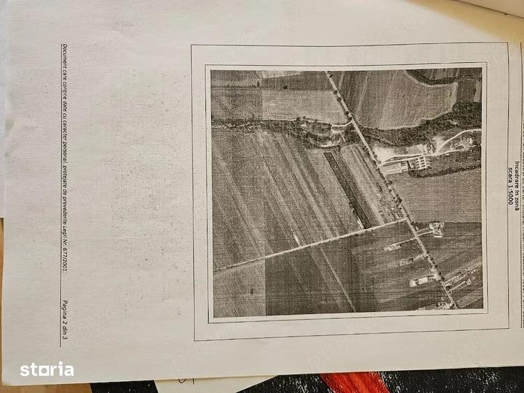 Teren de 7500 mp, în Tămășești