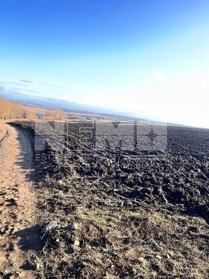 Teren agricol extravilan de 2500 mp, în Moara Nica