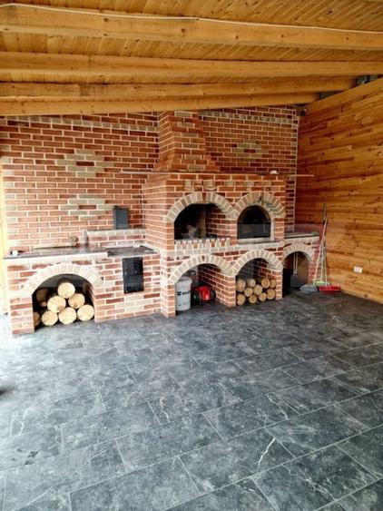Casă individuală cu 5 camere cu Teren 11506 Mp în Vama