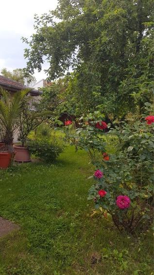 Casă cu 4 camere în Gura Văii