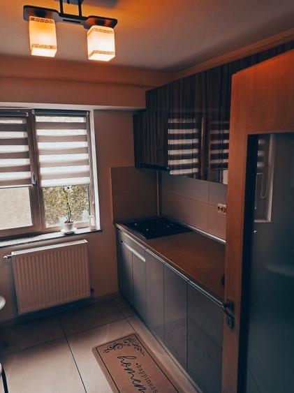 Apartament cu 2 camere decomandat, mobilat în Banat