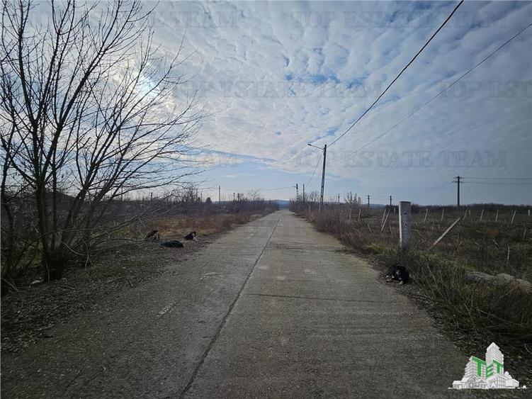 Teren Construcții intravilan de 28000 mp, în Hârșova