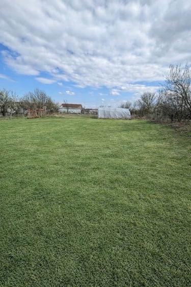 Casă individuală cu 5 camere cu Teren 1654 Mp în Bethausen