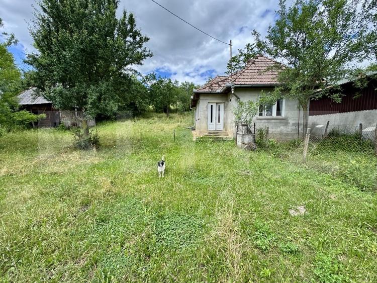 Casă individuală cu 2 camere cu Teren 5000 Mp în Drăculea Bandului