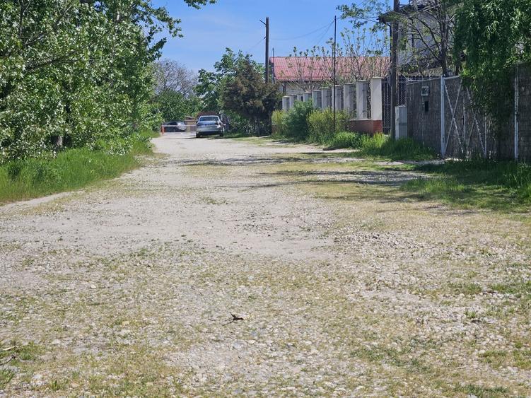 Teren de 550 mp, în Clinceni