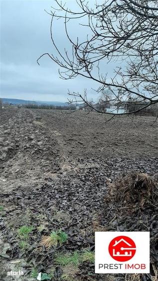 Teren de 11200 mp, în Sâncraiu de Mureș