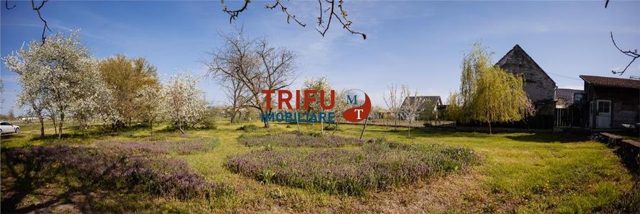 Teren Construcții intravilan de 11771 mp, în Vințu de Jos