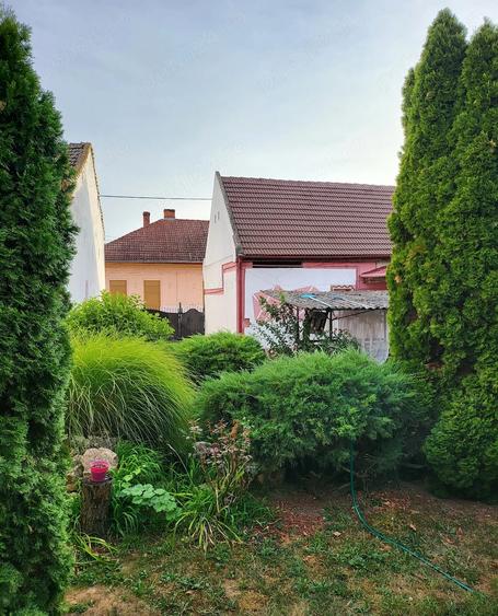 Casă cu 3 camere cu Teren 902 Mp în Bogdăneștilor
