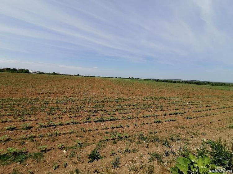 Teren de 5800 mp, în Central