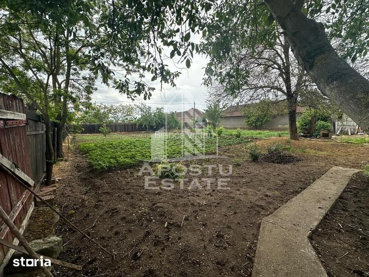 Casa cu teren de vanzare in Zimandu Nou