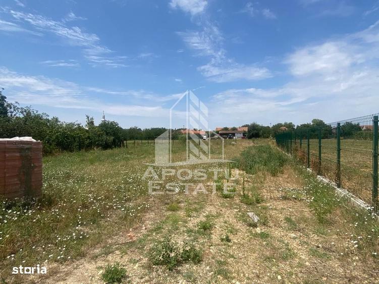 Teren constructii intravilan de vanzare Dragsina Timis 1000 mp - 1