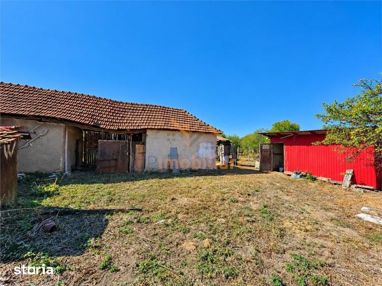 Casă cu 4 camere cu Teren 5723 Mp în Popești
