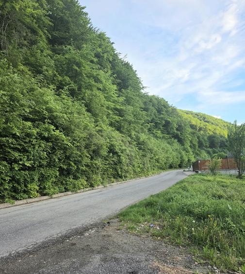 Teren Construcții intravilan de 604 mp, în Bunloc