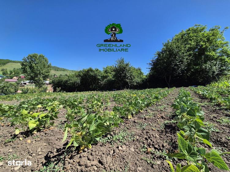 Casă cu 4 camere cu Teren 3024 Mp în Popricani