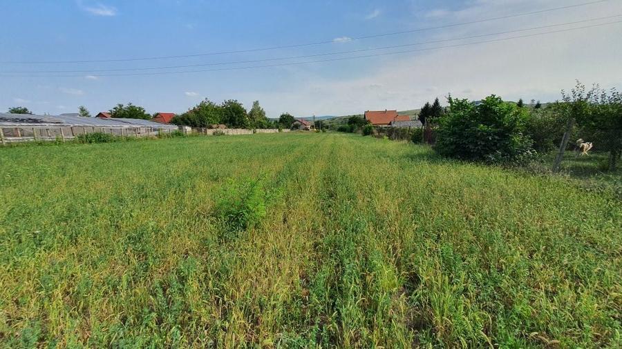 Teren de 1000 mp, în Războieni
