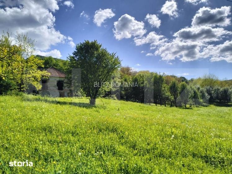 Teren intravilan 10.000 mp cu casa | Mada Cheile Mazii