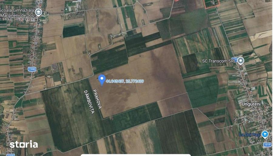 Teren de 5000 mp, în Filipeștii de Târg