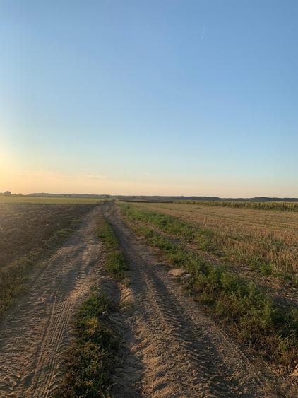 Teren Construcții intravilan de 8655 mp, în Dascălu