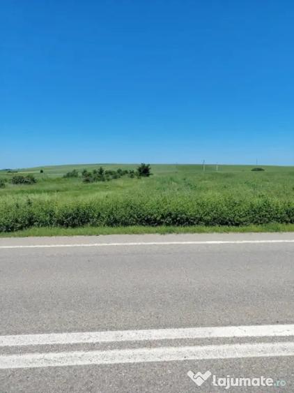 Teren intravilan de vanzare 3250 mp, Bal? / Bobice?ti - 2
