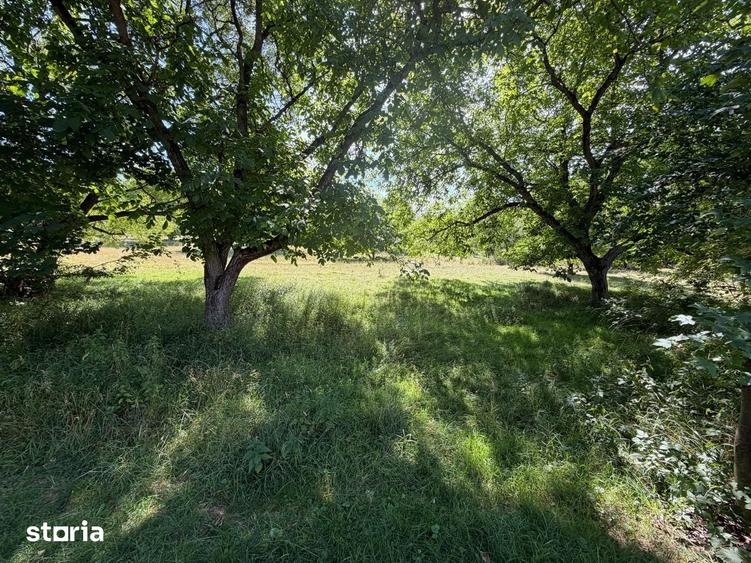 Teren intravilan Parcul Stupina - Cisnadie - 2