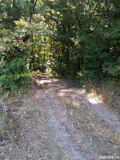 Teren de 4350 mp, în Bălteni