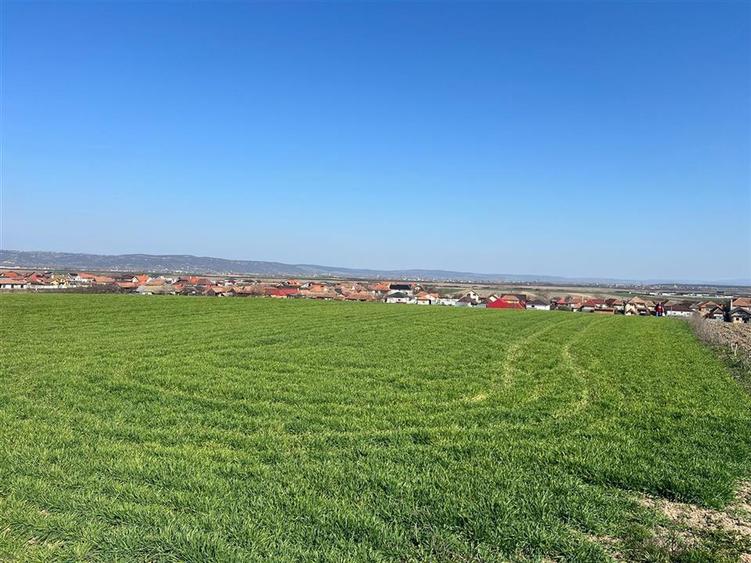 Teren extravilan de 5375 mp, în Cheriu