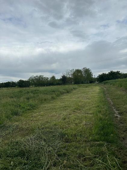 Teren de 11300 mp, în Balta Doamnei