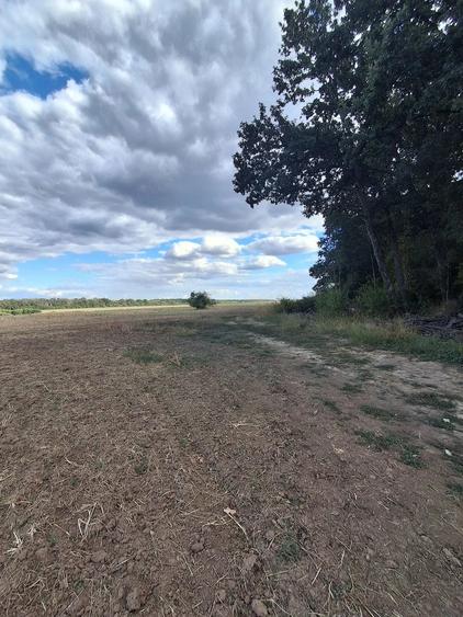 Teren de 3500 mp, în Snagov