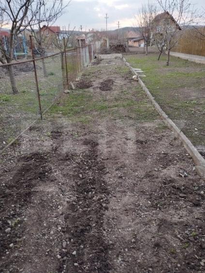 Apartament cu 3 camere decomandat, mobilat în Mihai Viteazu