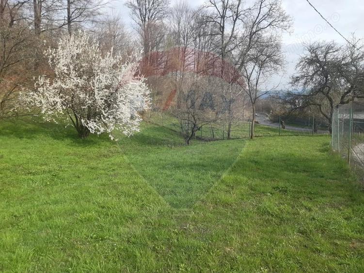 Casă cu 7 camere cu Teren 3580 Mp în Tohănița