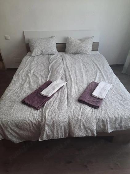 Apartament cu 2 camere decomandat în Nufărul