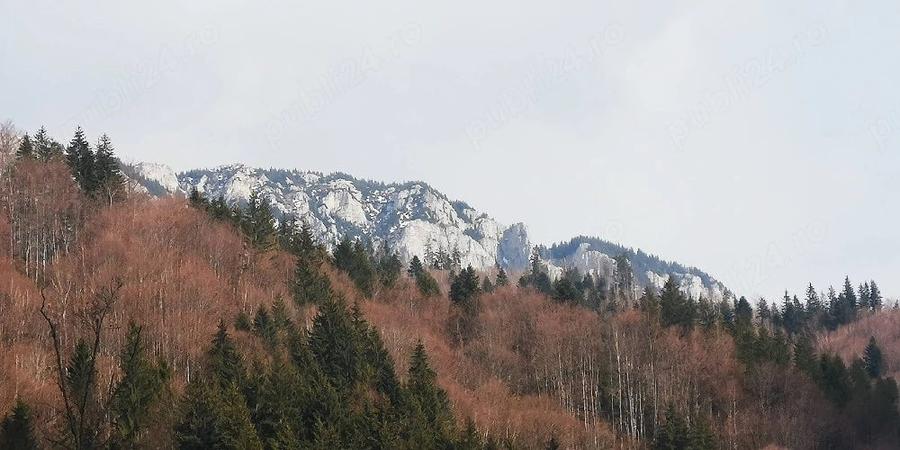 Teren de 2000 mp, în Sătic