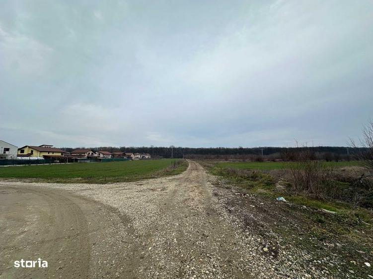 Teren de 545 mp, în Tărtășești