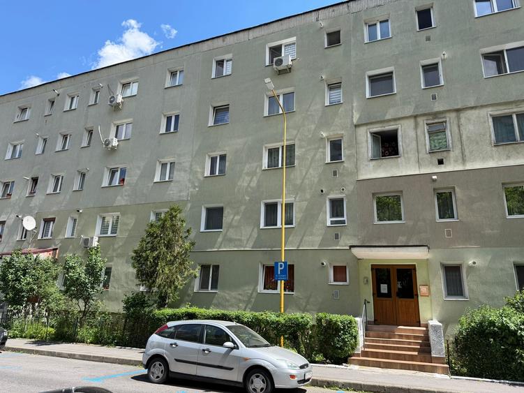 Apartament cu 2 camere semidecomandat în Florilor