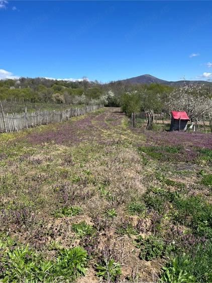 Casă cu Teren 2000 Mp în Valea