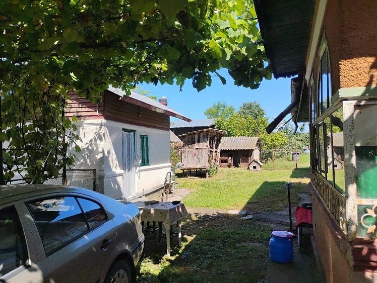 Casă cu Teren 2400 Mp în Bilciurești