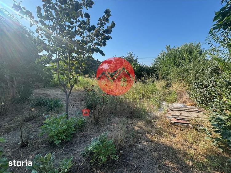 Casă cu 2 camere cu Teren 1257 Mp în Valea Nucarilor