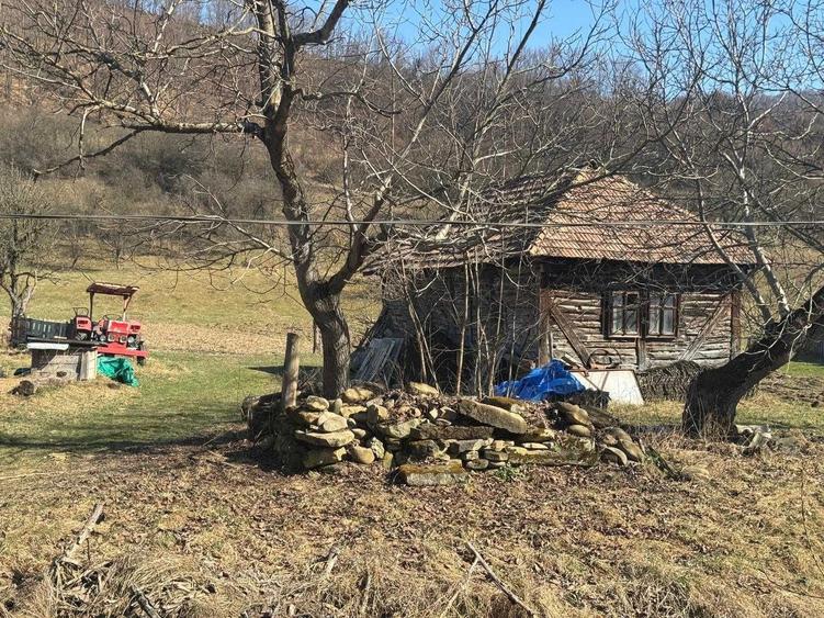 Casă cu 2 camere în Măgoaja