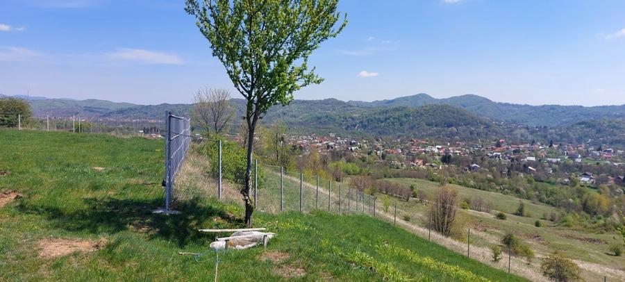 Teren Construcții intravilan de 9900 mp, în Mușcel