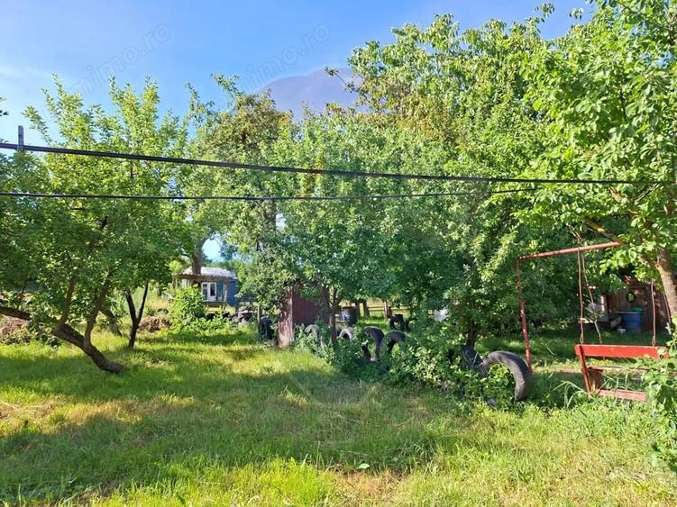 Casă cu 3 camere cu Teren 5800 Mp în Lechința