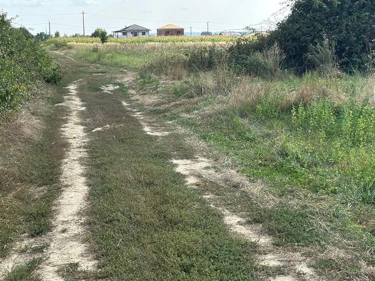 Teren de 8400 mp, în Țițești