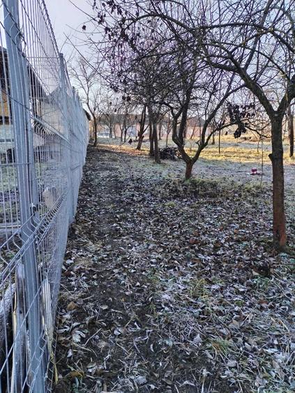 Casă cu Teren 3000 Mp în Hidiș